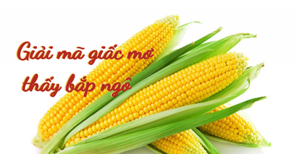 Mơ thấy ăn bắp ngô đánh con gì số mấy