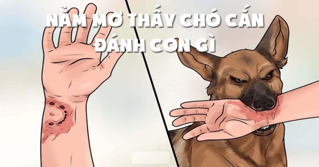 Mơ thấy bị chó cắn