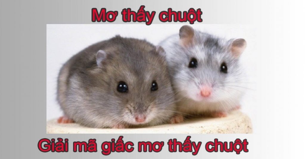 Giải mã giấc mơ thấy chuột đánh con gì?